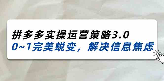 2024-2025拼多多实操运营策略3.0，0~1完美蜕变，解决信息焦虑（38节）-聊项目
