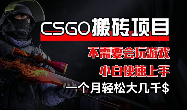 CSGO 装备搬砖项目，操作简单，不需要会玩游戏，小白也能快速上手，一个月轻松大几千【揭秘】-聊项目