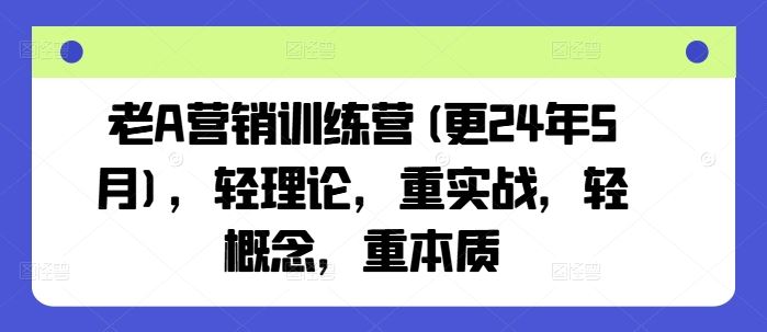 老A营销训练营(更24年7月),轻理论,重实战,轻概念,重本质-聊项目