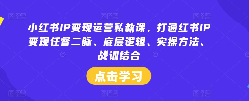 小红书IP变现运营私教课,打通红书IP变现任督二脉,底层逻辑、实操方法、战训结合-聊项目