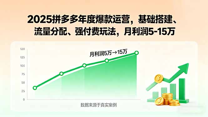 2025拼多多年度爆款运营，基础搭建、流量分配、强付费玩法，月利润5-15万-聊项目