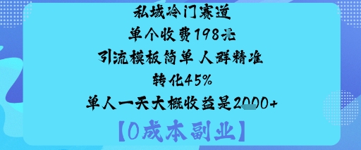 私域冷门赛道:单个收费198米引流模板简单人群精准转化45%单人一天大概收益是1k+-聊项目