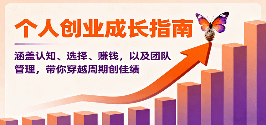 个人创业成长指南：涵盖认知、选择、赚钱，以及团队管理，带你穿越周期创佳绩-聊项目