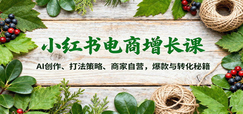 小红书电商增长课：AI创作、打法策略、商家自营，爆款与转化秘籍-聊项目