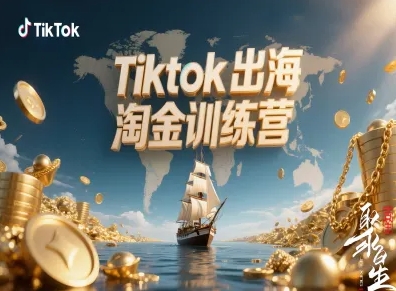Tiktok出海淘金训练营，跨境电商TK实战变现-聊项目