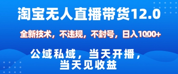 淘宝无人直播12.0，公域私域技术，不封号，不违规布局双十一流量风口，日入1k(独家技术)【揭秘】-聊项目