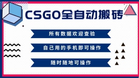 CSGO全自动搬砖，年底钱回家好项目，当天可拿到结果，新手小白轻松月入1W+【揭秘】-聊项目