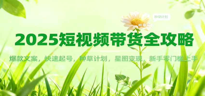 2025短视频带货全攻略：爆款文案，快速起号，种草计划，星图变现，新手零门槛上手-聊项目