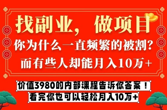 价值3980的网创内部课程，告诉你互联网创业月入10个W的秘密【揭秘】-聊项目
