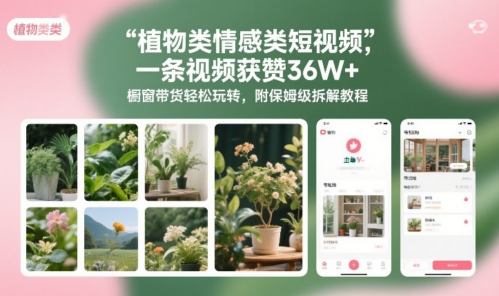 植物类情感类短视频，一条视频获赞36W+，橱窗带货轻松玩转，附保姆级拆解教程-聊项目
