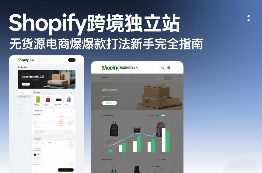 Shopify跨境独立站无货源电商爆款打法新手完全指南-聊项目