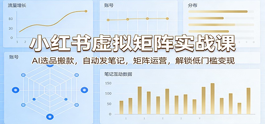 小红书虚拟矩阵实战课：AI选品搬款，自动发笔记，矩阵运营，解锁低门槛变现-聊项目