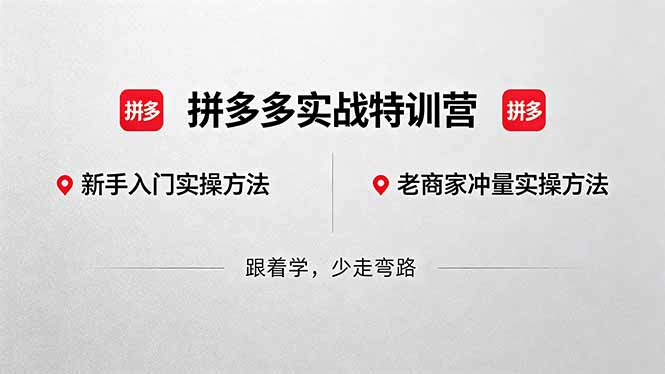 拼多多实战特训营(更新5月3-聊项目