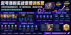 苗子起号涨粉实战变现训练营，多类目零基础爆款起号、精准起号节奏、新手稳涨粉可落地变现全课(更新0719)-聊项目