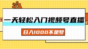（11906期）一天入门视频号直播带货，日入1000不是梦-聊项目