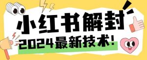 2024最新小红书账号封禁解封方法，无限释放手机号-聊项目