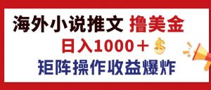 （12333期）最新海外小说推文撸美金，日入1000＋ 蓝海市场，矩阵放大收益爆炸-聊项目