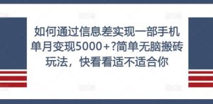 如何通过信息差实现一部手机单月变现5000+?简单无脑搬砖玩法，快看看适不适合你【揭秘】-聊项目