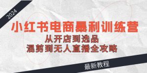 2024小红书电商暴利训练营:从开店到选品,混剪到无人直播全攻略-聊项目