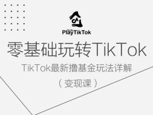 零基础玩转TiKToK变现课，TikTok最新撸基金玩法详解-聊项目