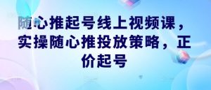 随心推起号线上视频课,实操随心推投放策略,正价起号-聊项目