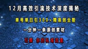 最新高效引流技术深度揭秘 ,单号单日引300+精准创业粉,一分钟一条原创素材,引爆你的私域流量-聊项目