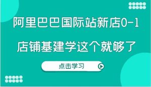 阿里巴巴国际站新店0-1，个人实践实操录制从0-1基建，店铺基建学这个就够了-聊项目