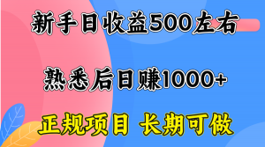 一台电脑，前期日收益300-500，熟练后日入1000左右-聊项目