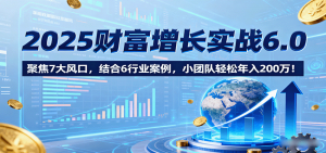 2025财富增长实战6.0，聚焦7大风口，结合6行业案例，小团队轻松年入200万！-聊项目