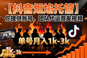 【抖音炬焰托管】你提供账号，团队代运营发视频，单号月入1k+【揭秘】-聊项目