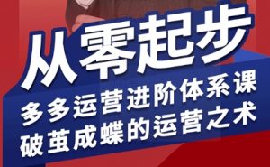 拼多多运营进阶系统课,从零起步,多多运营进阶体系课,破茧成蝶的运营之术(更新9月)-聊项目