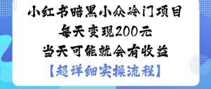小红书暗黑小众冷门项目每天变现2张当天可能就会有收益-聊项目