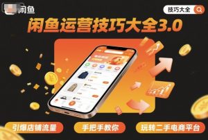 闲鱼运营技巧大全3.0，引爆店铺流量，手把手教你玩转二手电商平台-聊项目