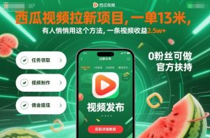 西瓜视频拉新项目，一单13米，有人悄悄用这个方法，一条视频收益2.5w+(附详细教程)-聊项目