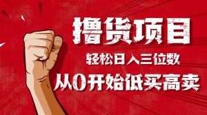 手把手教你撸货，从0开始低买高卖，小白轻松实现日入三位数!!!-聊项目