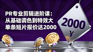 PR专业剪辑进阶课:从基础调色到特效大片的进阶技能,单条短片报价达2000-聊项目