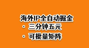 海外ip全自动掘金，2025必做蓝海项目，3分钟落地，矩阵直接开干【揭秘】-聊项目