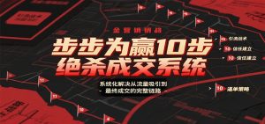 步步为赢10步绝杀成交系统，系统化解决从流量吸引到最终成交的完整链路-聊项目