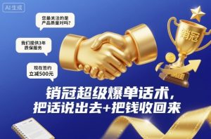 销冠超级爆单话术，把话说出去+把钱收回来-聊项目