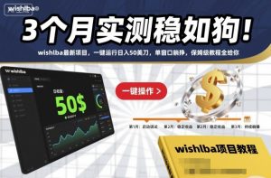 3个月实测稳如狗！wishlba最新项目，一键运行日入50美刀，单窗口躺挣，保姆级教程全给你【揭秘】-聊项目