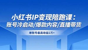 小红书IP变现陪跑课:账号冷启动/爆款内容/直播带货,单账号最高收益2万+-聊项目