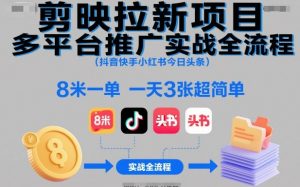 剪映拉新项目多平台推广实战全流程(抖音快手小红书今日头条),8米一单,一天3张超简单-聊项目