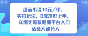 番茄小说10米每单，实拍玩法，0成本好上手，详细实操教程和平台入口适合大部分人-聊项目