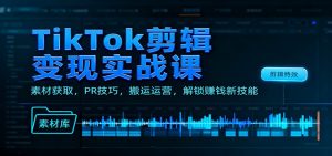 TikTok剪辑变现实战课:素材获取,PR技巧,搬运运营,解锁赚钱新技能-聊项目