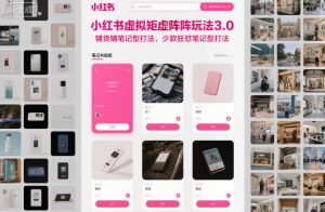 小红书虚拟矩阵玩法3.0，铺货铺笔记型打法，少款狂怼笔记型打法-聊项目