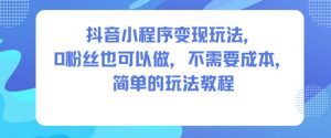 抖音小程序变现玩法，0粉丝也可以做，不需要成本，简单的玩法教程-聊项目