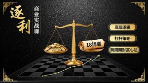 《逐 利》商业实战课,底层逻辑、杠杆策略、18锦囊,跨周期财富心法(更新-聊项目