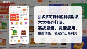 拼多多可复制盈利模型课，六大核心打法、实战复盘、灵活应用，模型清晰，稳定产出高利润-聊项目