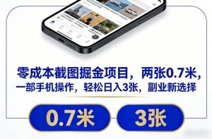 零成本截图掘金项目，两张0.7米，一部手机操作，轻松日入3张，副业新选择【揭秘】-聊项目