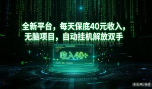 最新看广平台，每天保底30-4米，无脑项目，自动挂G解放双手【揭秘】-聊项目